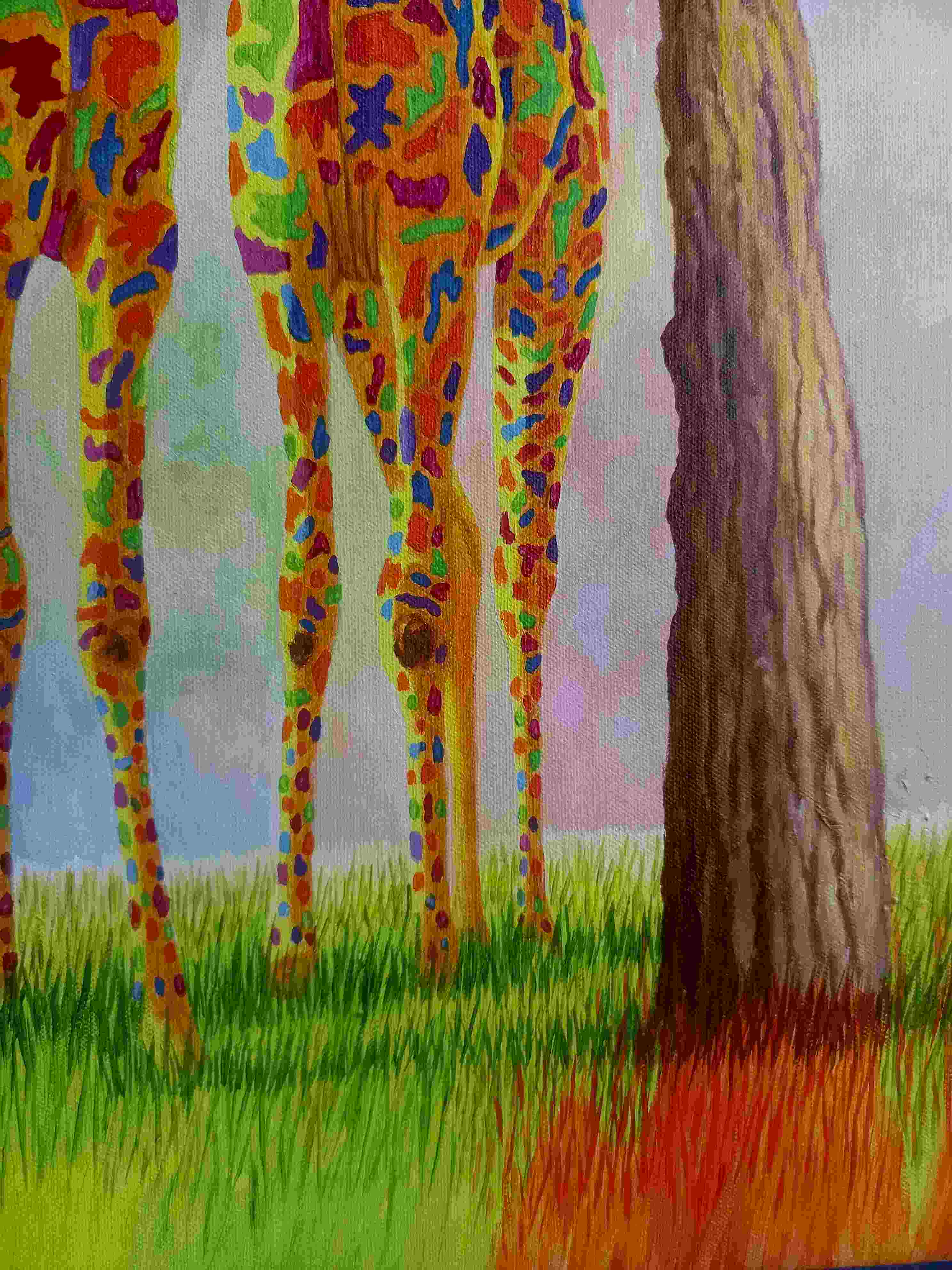 Couple giraffe